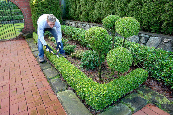 Jardin paysager à Quimperlé